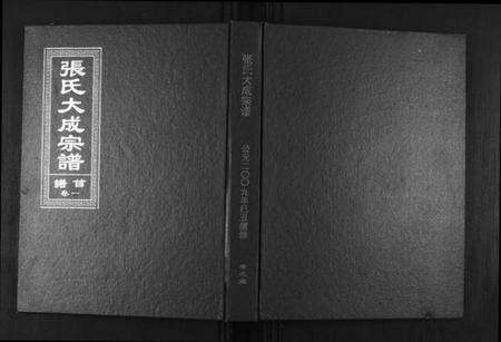 湖北张氏族谱-张氏大成宗谱.pdf电子版缩略图