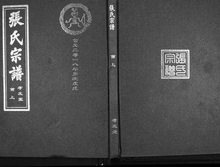 湖北张氏族谱-张氏宗谱.pdf电子版缩略图