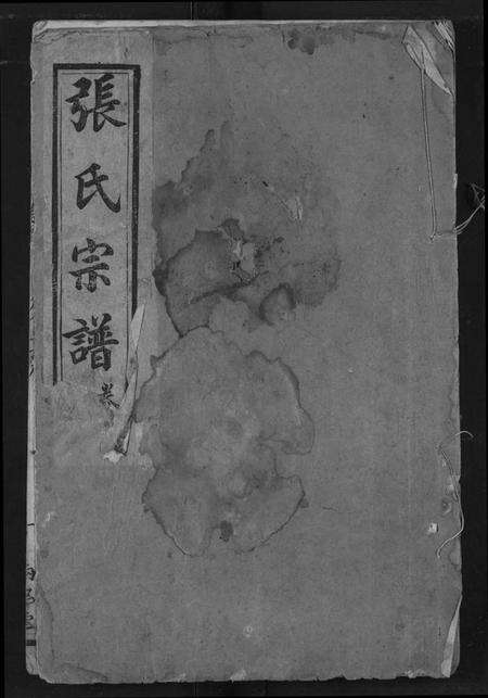 湖北张氏族谱-张氏宗谱.pdf电子版缩略图