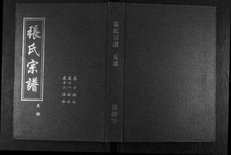 湖北张氏族谱-张氏宗谱.pdf电子版缩略图