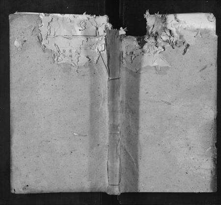 湖北张氏族谱-张氏宗谱.pdf电子版缩略图