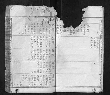 湖北张氏族谱-张氏宗谱.pdf电子版预览图2