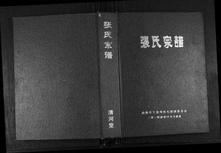 湖北张氏族谱-张氏宗谱.pdf电子版缩略图