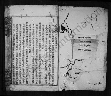 浙江梁氏族谱-彩烟梁氏宗谱 [卷数杂异].pdf电子版预览图2