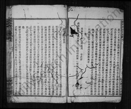 浙江梁氏族谱-彩烟梁氏宗谱 [卷数杂异].pdf电子版预览图3