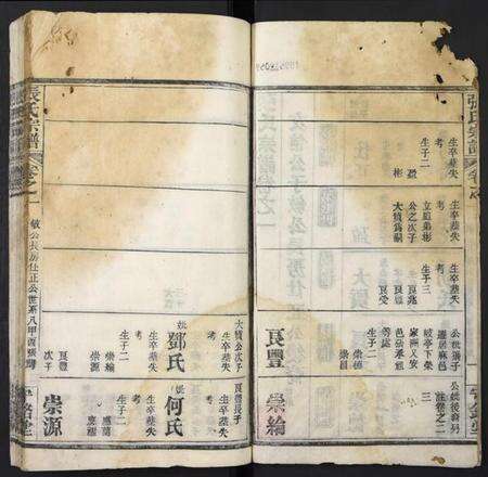 湖北张氏族谱-张氏宗谱.pdf电子版预览图2