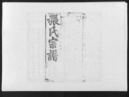 湖北张氏族谱-张氏宗谱.pdf电子版缩略图