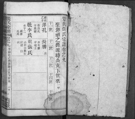 湖北张氏族谱-张氏宗谱.pdf电子版预览图2