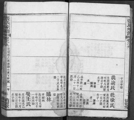 湖北张氏族谱-张氏宗谱.pdf电子版预览图4