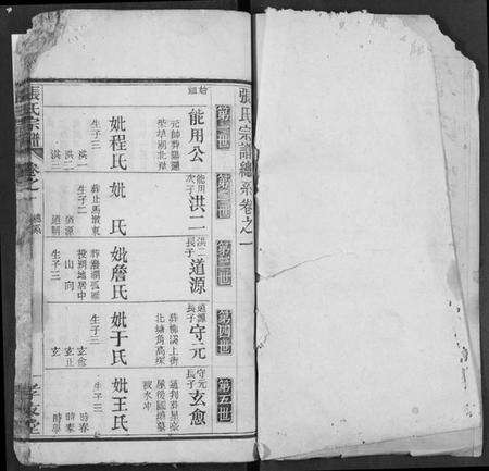 湖北张氏族谱-张氏宗谱.pdf电子版预览图1