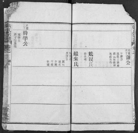 湖北张氏族谱-张氏宗谱.pdf电子版预览图5