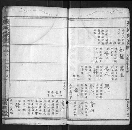 湖北张氏族谱-张氏宗谱.pdf电子版预览图1