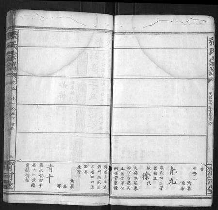 湖北张氏族谱-张氏宗谱.pdf电子版预览图2