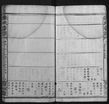 湖北张氏族谱-张氏宗谱.pdf电子版预览图5