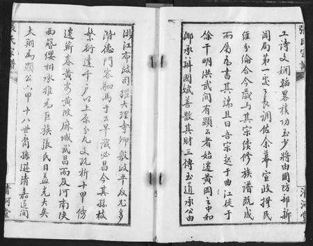 湖北张氏族谱-张氏宗谱.pdf电子版预览图2