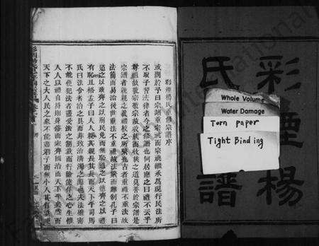 浙江杨氏族谱-彩烟杨氏宗谱 [14卷].pdf电子版预览图2