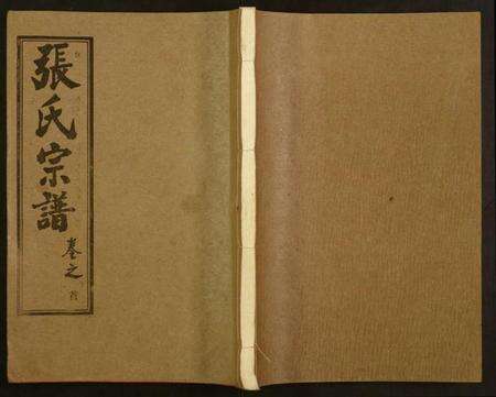 湖北张氏族谱-张氏宗谱.pdf电子版缩略图