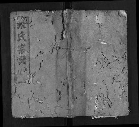 湖北张氏族谱-张氏宗谱.pdf电子版缩略图