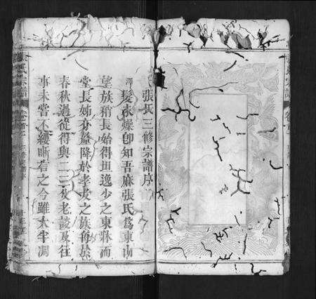 湖北张氏族谱-张氏宗谱.pdf电子版预览图5