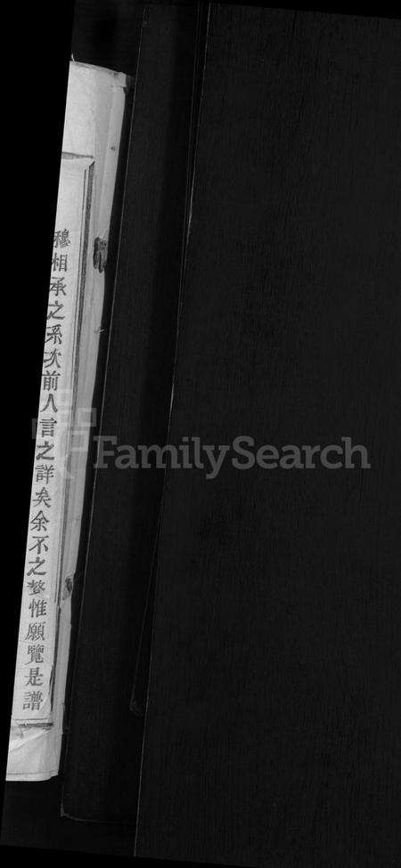 浙江杨氏族谱-彩烟杨氏思存祠宗谱 [12卷].pdf电子版预览图2