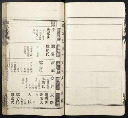 湖北张氏族谱-张氏宗谱.pdf电子版预览图4