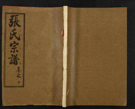 湖北张氏族谱-张氏宗谱.pdf电子版缩略图