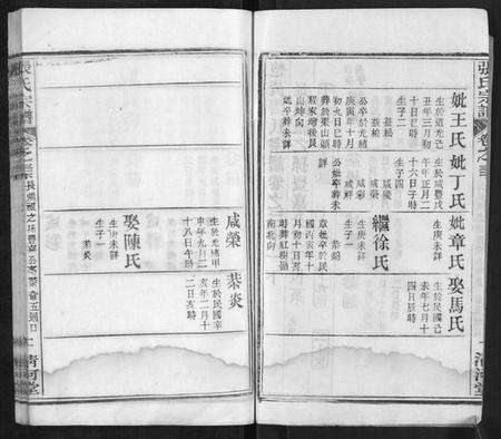 湖北张氏族谱-张氏宗谱.pdf电子版预览图2