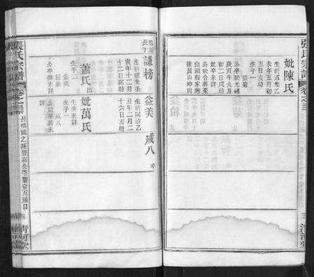 湖北张氏族谱-张氏宗谱.pdf电子版预览图4