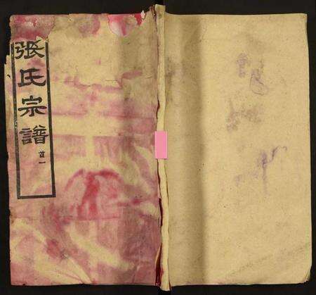 湖北张氏族谱-张氏宗谱.pdf电子版缩略图