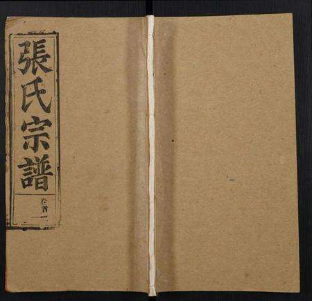 湖北张氏族谱-张氏宗谱.pdf电子版缩略图