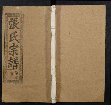 湖北张氏族谱-张氏宗谱.pdf电子版缩略图