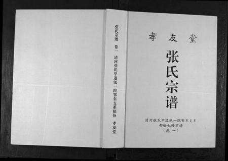 湖北张氏族谱-张氏宗谱.pdf电子版缩略图