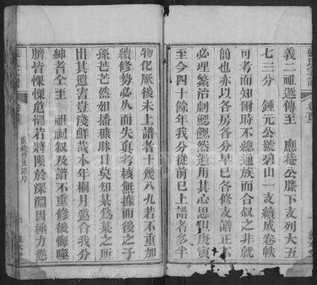 湖北张氏族谱-张氏宗谱 [10卷,首5卷].pdf电子版预览图2