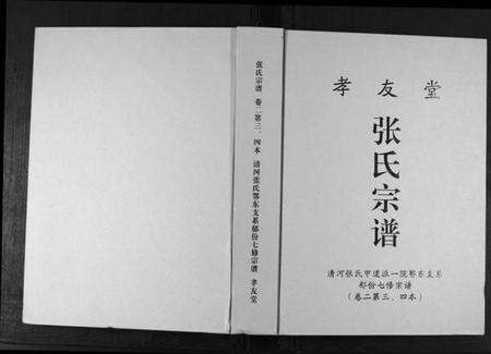 湖北张氏族谱-张氏宗谱. 甲道派一院鄂东支系.pdf电子版缩略图