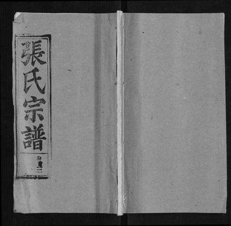 湖北张氏族谱-张氏宗谱[20卷首5卷].pdf电子版缩略图