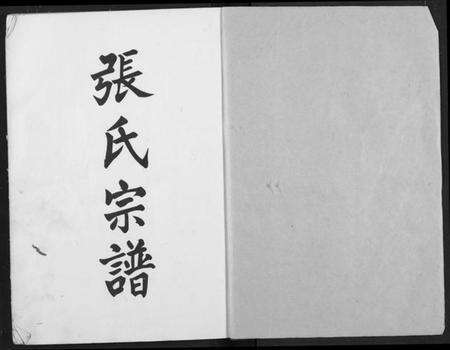 湖北张氏族谱-张氏族谱.pdf电子版预览图1