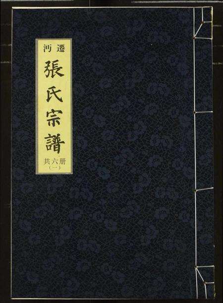 湖北张氏族谱-迁沔张氏宗谱.pdf电子版缩略图