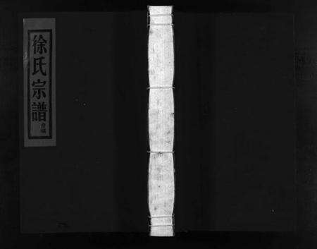 浙江徐氏族谱-徐氏宗谱 [不分卷].pdf电子版预览图1