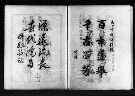 湖南黄氏族谱-醴北枫林黄氏四修族谱 [3卷].pdf电子版预览图4