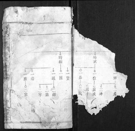 湖北周氏族谱-周氏宗谱.pdf电子版预览图2