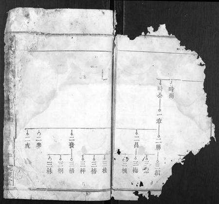 湖北周氏族谱-周氏宗谱.pdf电子版预览图3