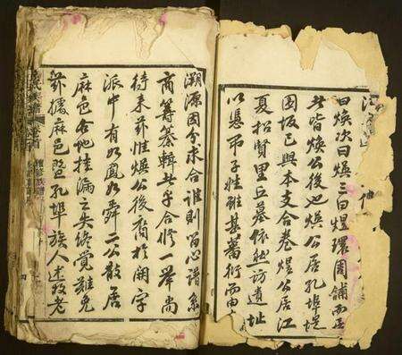 湖北杜氏族谱-杜氏族谱.pdf电子版预览图2