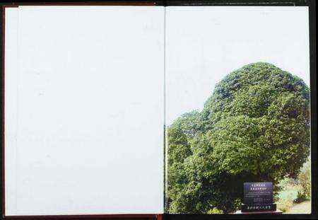 湖北周氏族谱-周氏家谱.pdf电子版预览图1