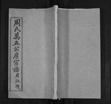 湖北周氏族谱-周氏万五公房宗谱[18卷首4卷].pdf电子版缩略图