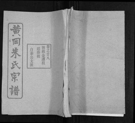 湖北朱氏族谱-朱氏宗谱.pdf电子版缩略图