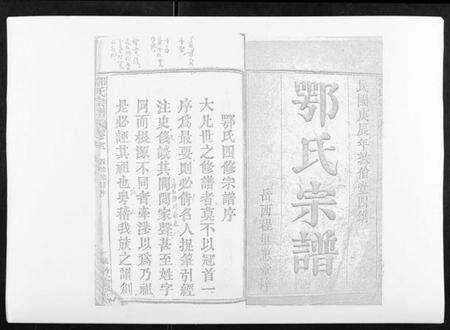 湖北鄂氏族谱-鄂氏宗谱[10卷首4卷].pdf电子版预览图1