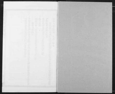 江西傅氏族谱-傅氏板桥族谱.pdf电子版预览图1