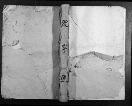 江西傅氏族谱-卢陵湻化傅氏重修族谱.pdf电子版缩略图