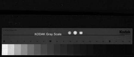 浙江卢氏族谱-指山卢氏宗谱 [6卷,首1卷].pdf电子版缩略图