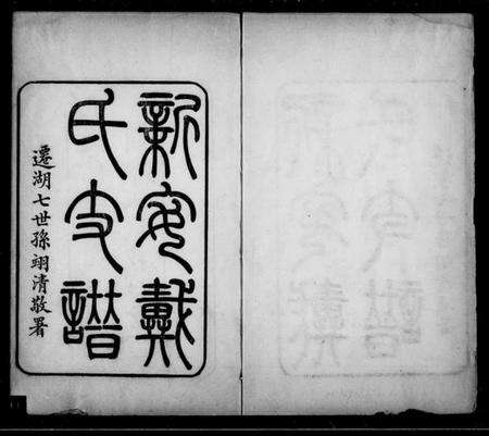 浙江戴氏族谱-新安戴氏支谱 [4卷,首1卷].pdf电子版预览图1